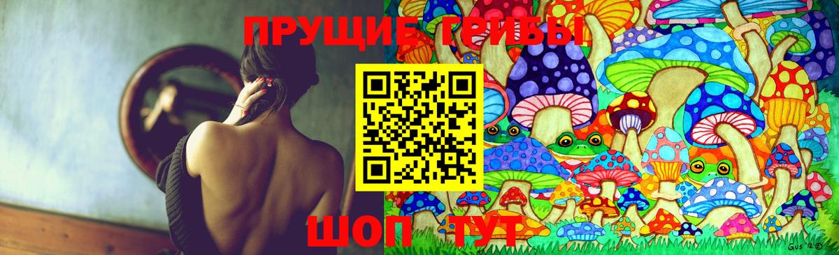 продажа наркотиков  Галлюциногенные грибы прущие грибы  Вход с VPN  Борисоглебск 